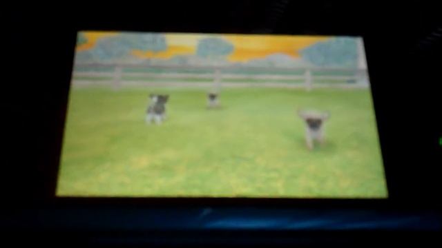 Nintendogs + Cats Review/Walkthrough Pt 3 смотреть онлайн