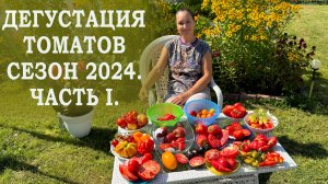 ДЕГУСТАЦИЯ МОИХ ТОМАТОВ 2024. Часть 1 из 2.