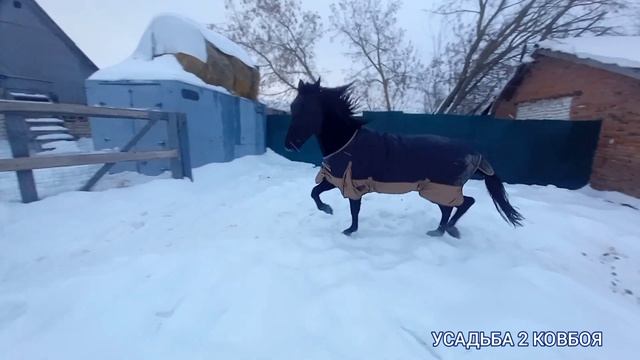 Зимние хлопоты.Готовим сыры .