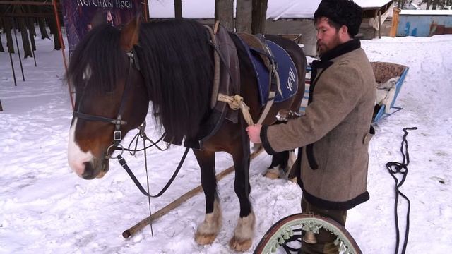 Как правильно запрягать лошадь смотреть онлайн