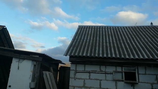 Голуби сбежали на улицу.Новые голуби смотреть онлайн