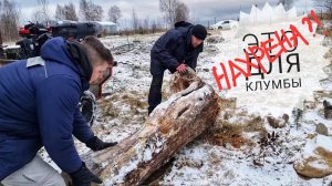Л - ландшафтный дизайн и Р - распаковка новых ёлок для Совиного дола! Нам нормально!
