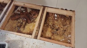 Mobile Home Subfloor - Water Damage Repair