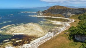 Часть 7. Один день в Каикоура, Южный Остров Новой Зеландии 4K / Kaikoura South Island NEW ZEALAND 4K