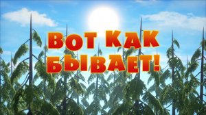 Маша и Медведь, Вот как бывает! 74 серия