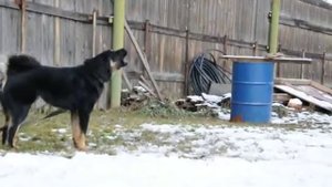 Банхар первое занятие по защите