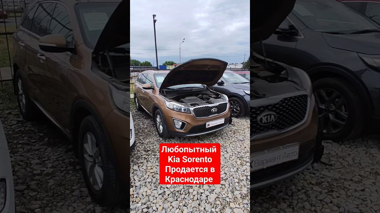 Проверка пробега Kia Sorento. Результат удивил. #автоподборкраснодар