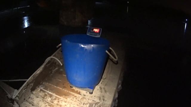 Рыбалка на осетра, ловля на зимние удочки. смотреть онлайн