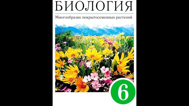 § 28 Класс Двудольные. Семейства Паслёновые, Мотыльковые и Сложноцветные