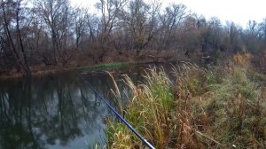 Ловим #окуня на #спиннинг в октябре.  Река Оскол