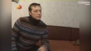 Английский бульдог. Дрессировка и воспитание.