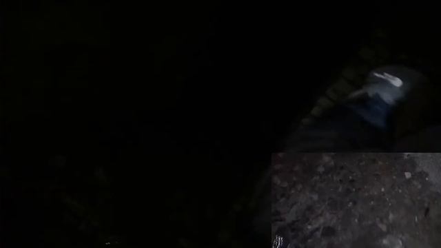 Заброшенный корпус больницы(встретили кого-то в подвале) смотреть онлайн