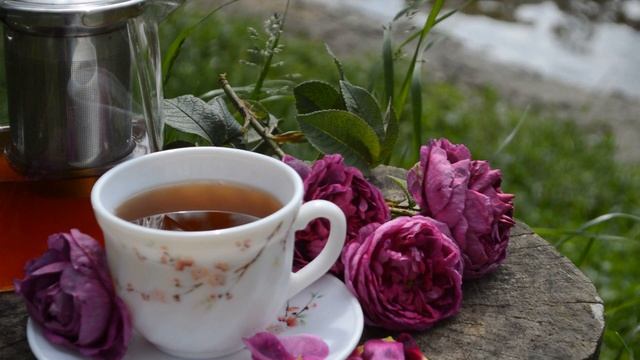 Чай из ЧАЙНОЙ РОЗЫ ?: 5 СОВЕТОВ по заготовке лепестков и приготовлению вкусного напитка