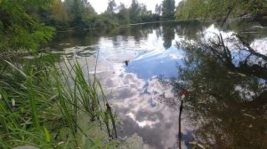 Раскрываем СЕКРЕТ добавки в прикормку. Рыбалка на поплавок