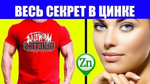 Цинк Для Организма. Проверяем Цинк в Продуктах Где Больше zn?