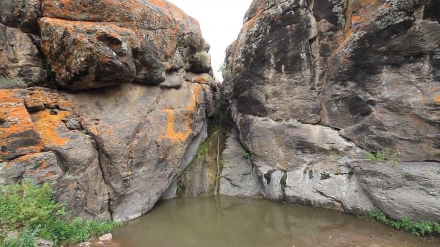 Nature of Kazakhstan. Природа Казахстана