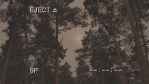 Комиссия по захоронениям | Страшная история на ночь | Черный Рик