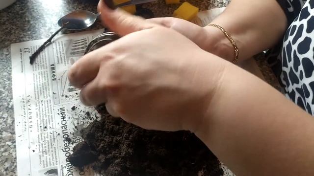 БУГЕНВИЛЛИЯ РАЗМНОЖЕНИЕ. Мой результат.