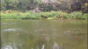 РЫБАЛКА НА ПОПЛАВОК В АВГУСТЕ. КРУПНАЯ ПЛОТВА!