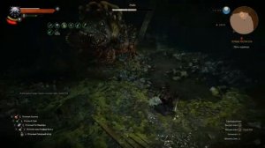 witcher 3: Бой с жабой