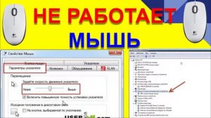 НЕ РАБОТАЕТ МЫШЬ. ПЕРЕСТАЛА РАБОТАТЬ МЫШКА
