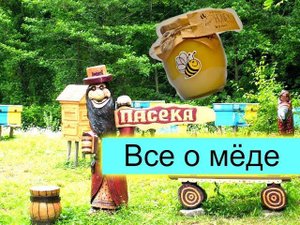 Все о мёде.Полезные свойства мёда.Пасека по дороге на Красную поляну.