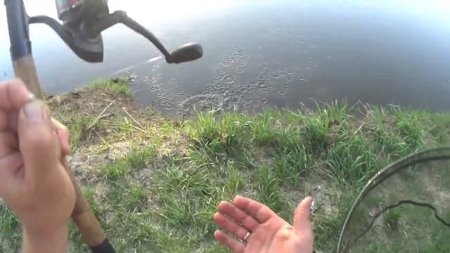 ЛЕЩ ПОСЛЕ НЕРЕСТА.Хорошая Рыбалка с Ночевкой на новом месте. Фидер на Урале. смотреть онлайн