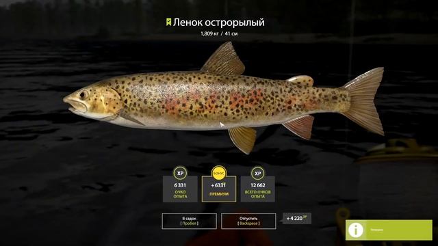 Кунджа + Нерка + Ленок | ФАРМ | р. Яма | Русская Рыбалка 4