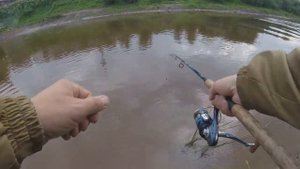 Ловля окуня на вертушку в июле.