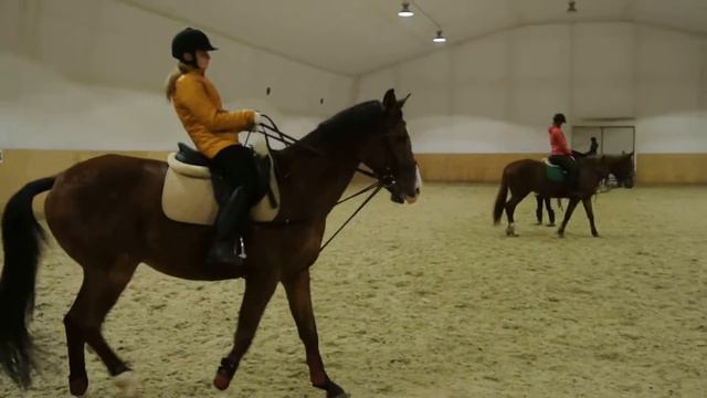 рысь остановка смотреть онлайн