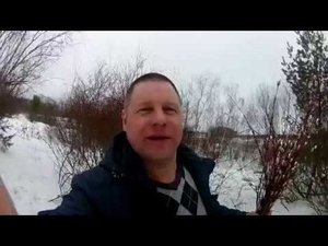 Поздравление с Вербным воскресеньем и 1 апреля!