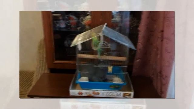 котёнок марс смотреть онлайн