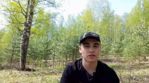 СЕРАЯ ЖАБА! ВРЕДЯТ ЛИ ЖАБЫ ЛЮДЯМ? #жаба, #жабка, #жабы