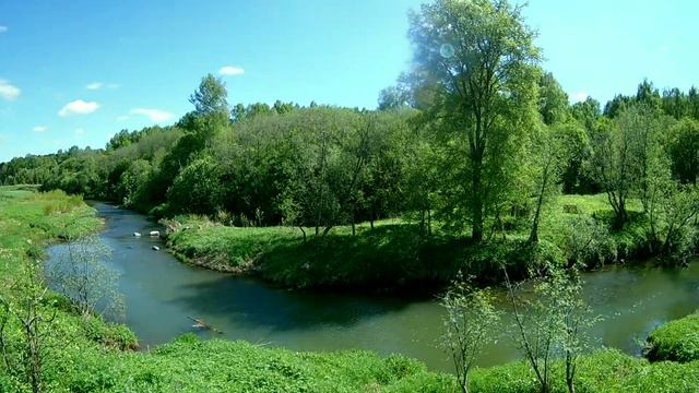 🌿видео о природе  | лес | речка | туризм