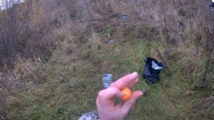 Ловля щуки на живца. Самоловки и поплавочная снасть