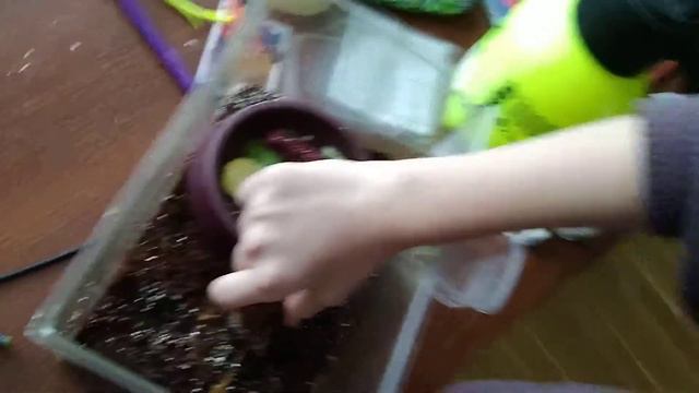 Уход за улиткой. смотреть онлайн