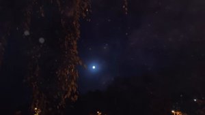 ВОЛЧИЦА _ Новинка 2023 _ Виктор Могилатов