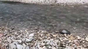 Самый вкусный шашлык на природе у горной реки Чечни?