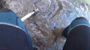 #453 Что можно найти в речке. Коп с Nokta Legend