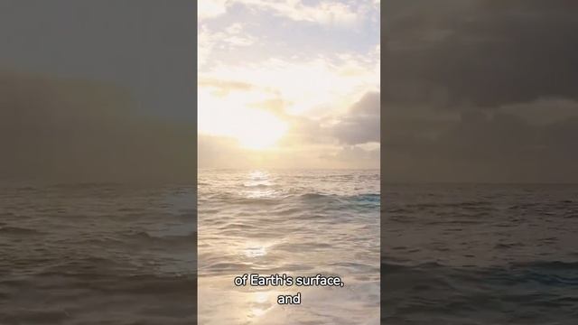 5 Random Facts смотреть онлайн