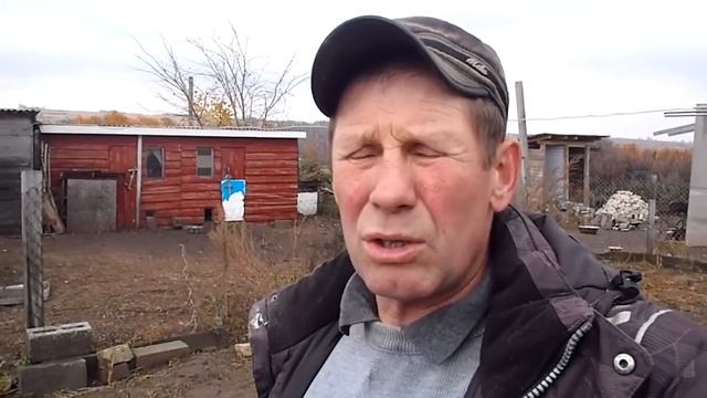 Как и чем лечим у коровы порванный сосок . смотреть онлайн