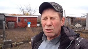 Как и чем лечим у коровы порванный сосок  .