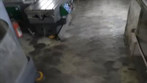 МОЯ мастерская (обзор)