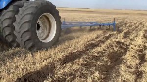 Глубокорыхление чизельным плугом ПСКу-10 2022г