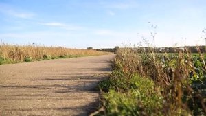 История Ferrari F40 | 1987  - 1992