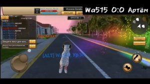 Поединки в cat simulator animal life + Новость