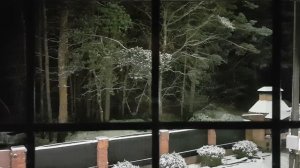 ОТ СПИННОЙ БОЛИ. ДЛЯ ВСЕХ ▶️ ВЕДЬМИНА ИЗБА - ИНГА ХОСРОЕВА.