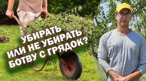 Убирать ли ботву с грядок?