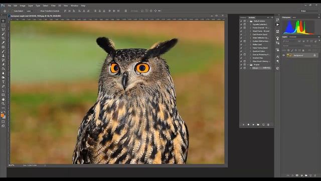 Как превратить фото в карандашный рисунок смотреть онлайн