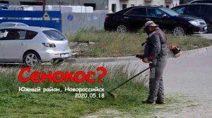 Сенокос?  Южный район, Новороссийск. / 2020.05.18